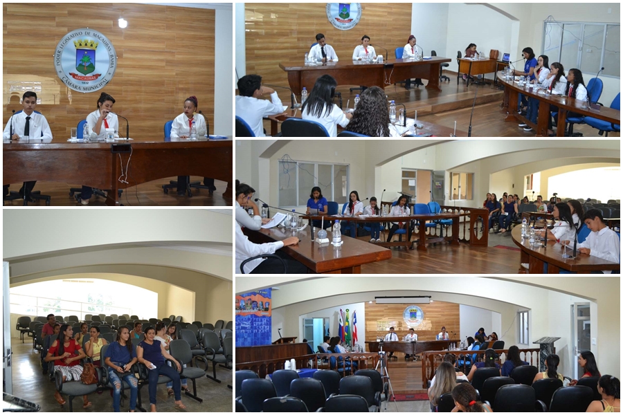 2ª SESSÃO ORDINÁRIA DA CÂMARA MIRIM – 25/05/2019